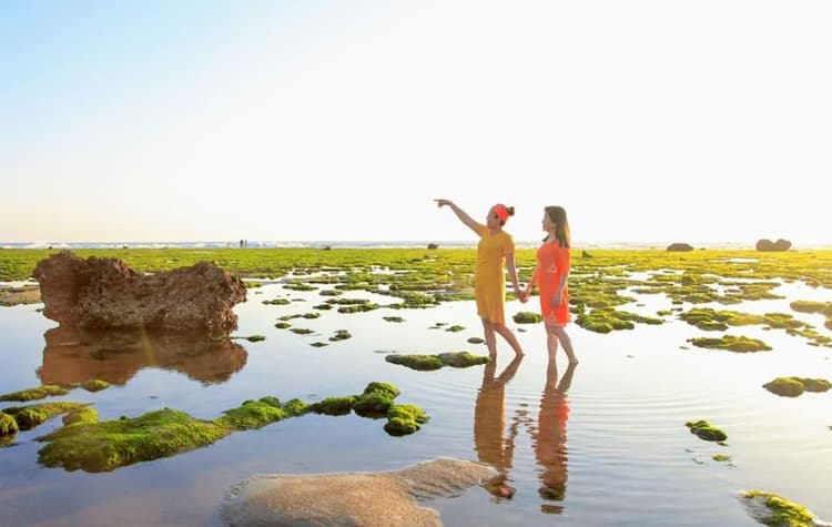 Cánh đồng rong biển Ninh Thuận đẹp