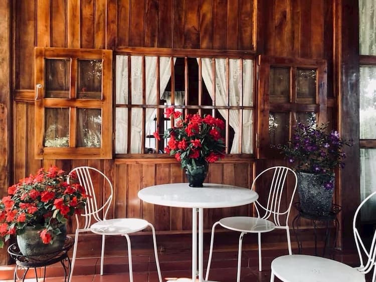 Tường gỗ, khung cửa sổ, bàn trà và nhiều hoa trong một homestay