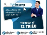 Sàn BĐS Sea Land Tuyển Dụng Chuyên Viên Kinh Doanh BĐS (Dự án NOXH K2)